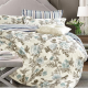 Louisiana Bedding Floral Stripe Reversible Duvet Cover Set 100% Cotton 200 Thread Count Multi